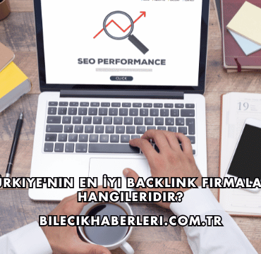 Türkiye'nin En İyi Backlink Firmaları Hangileridir?