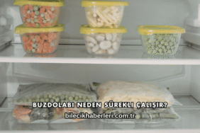 Buzdolabı Neden Sürekli Çalışır?