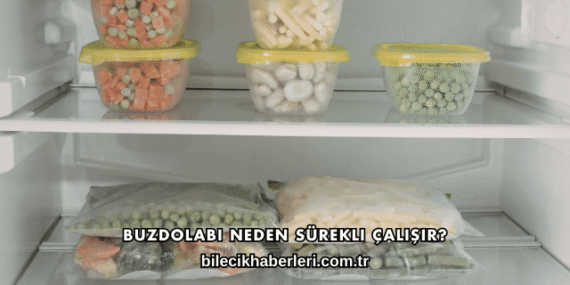 Buzdolabı Neden Sürekli Çalışır?