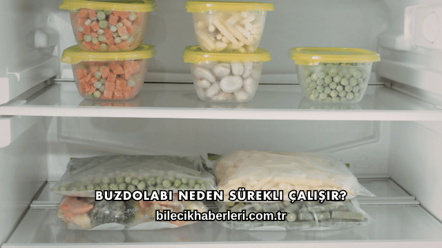 Buzdolabı Neden Sürekli Çalışır?