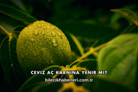 Ceviz Aç Karnına Yenir mi?
