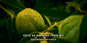 Ceviz Aç Karnına Yenir mi?