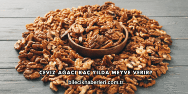 Ceviz Ağacı Kaç Yılda Meyve Verir?
