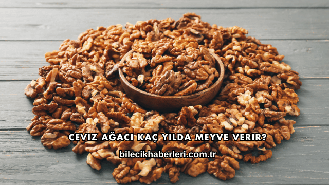 Ceviz Ağacı Kaç Yılda Meyve Verir?