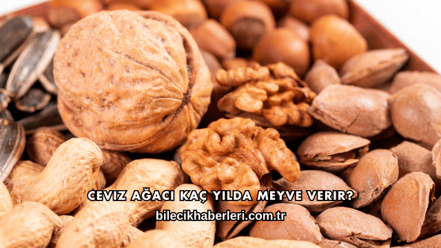 Ceviz Ağacı Kaç Yılda Meyve Verir?