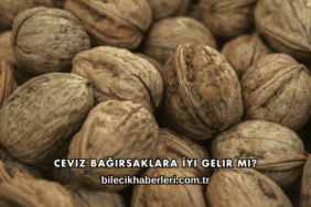 Ceviz Bağırsaklara İyi Gelir mi?