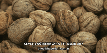 Ceviz Bağırsaklara İyi Gelir mi?