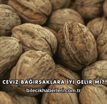 Ceviz Bağırsaklara İyi Gelir mi?