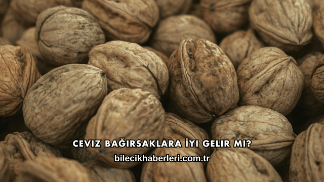 Ceviz Bağırsaklara İyi Gelir mi?