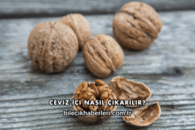 Ceviz İçi Nasıl Çıkarılır?