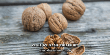 Ceviz İçi Nasıl Çıkarılır?