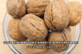Ceviz İçinin Bütün Çıkması İçin Ne Yapılmalı?