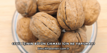 Ceviz İçinin Bütün Çıkması İçin Ne Yapılmalı?