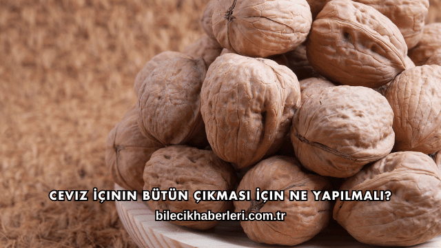 Ceviz İçinin Bütün Çıkması İçin Ne Yapılmalı?