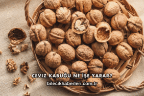 Ceviz Kabuğu Ne İşe Yarar?