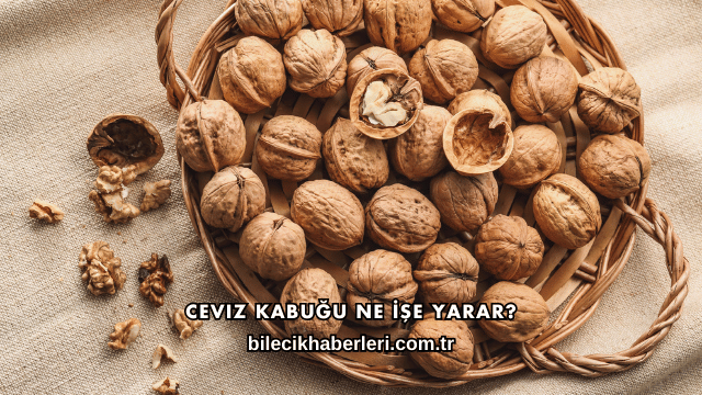 Ceviz Kabuğu Ne İşe Yarar?