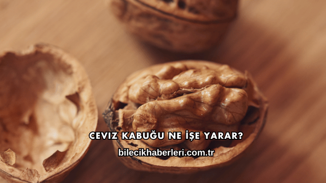 Ceviz Kabuğu Ne İşe Yarar?