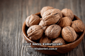 Ceviz Nasıl Kurutulur?