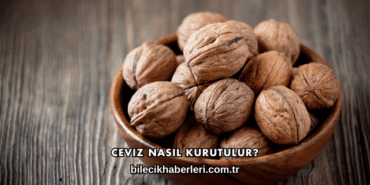 Ceviz Nasıl Kurutulur?