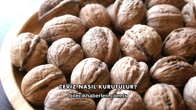 Ceviz Nasıl Kurutulur?