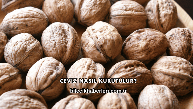 Ceviz Nasıl Kurutulur?