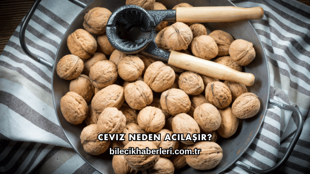 Ceviz Neden Acılaşır?