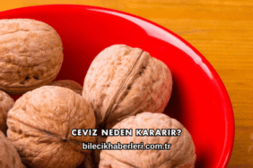 Ceviz Neden Kararır?