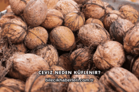 Ceviz Neden Küflenir?