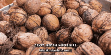 Ceviz Neden Küflenir?