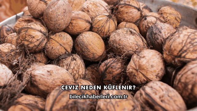 Ceviz Neden Küflenir?