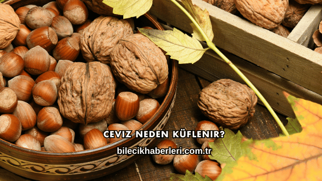 Ceviz Neden Küflenir?