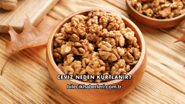 Ceviz Neden Kurtlanır?