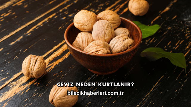 Ceviz Neden Kurtlanır?