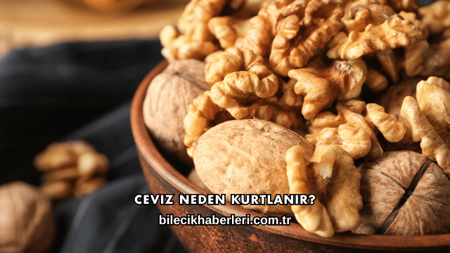 Ceviz Neden Kurtlanır?