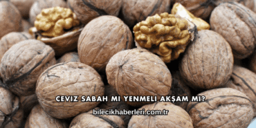 Ceviz Sabah mı Yenmeli Akşam mı?