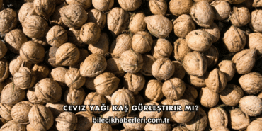 Ceviz Yağı Kaş Gürleştirir mi?