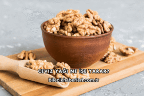 Ceviz Yağı Ne İşe Yarar?