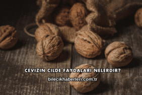 Cevizin Cilde Faydaları Nelerdir?