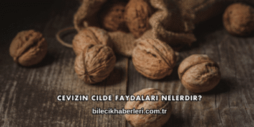 Cevizin Cilde Faydaları Nelerdir?