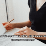 E-Devlet'te Görünen Ceza Ne Zaman Silinir?