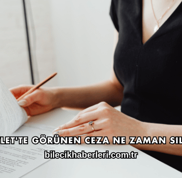 E-Devlet'te Görünen Ceza Ne Zaman Silinir?