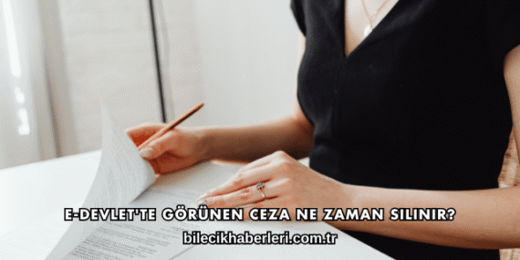 E-Devlet'te Görünen Ceza Ne Zaman Silinir?