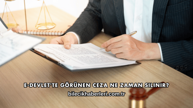 E-Devlet'te Görünen Ceza Ne Zaman Silinir?