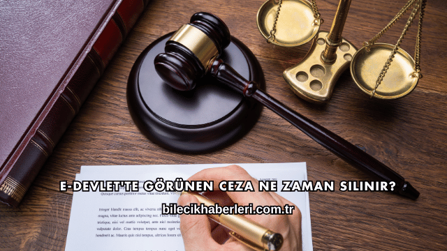 E-Devlet'te Görünen Ceza Ne Zaman Silinir?