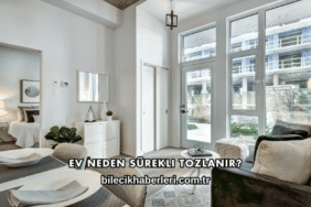 Ev Neden Sürekli Tozlanır?