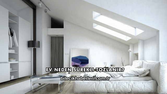 Ev Neden Sürekli Tozlanır?