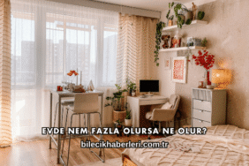 Evde Nem Fazla Olursa Ne Olur?