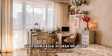 Evde Nem Fazla Olursa Ne Olur?