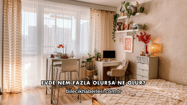 Evde Nem Fazla Olursa Ne Olur?