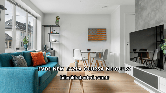 Evde Nem Fazla Olursa Ne Olur?